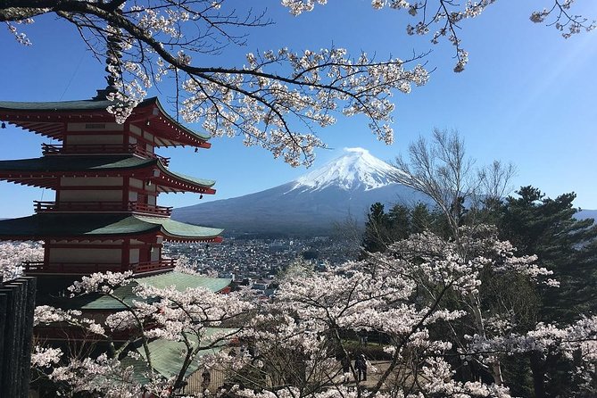 Private Car Tour to Mt. Fuji Lake Kawaguchiko or Hakone - Price and value: what you’re paying for (and what costs extra)