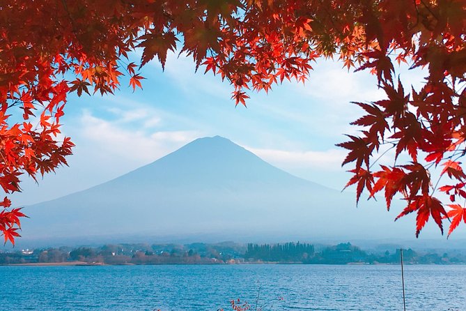 Private Car Tour to Mt. Fuji Lake Kawaguchiko or Hakone - Who should book this private Mt. Fuji or Hakone car tour