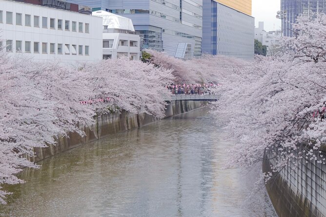Private Custom Tour: Tokyo in a Day - Hamarikyu Gardens or Imperial Palace views: when Tokyo gets quiet