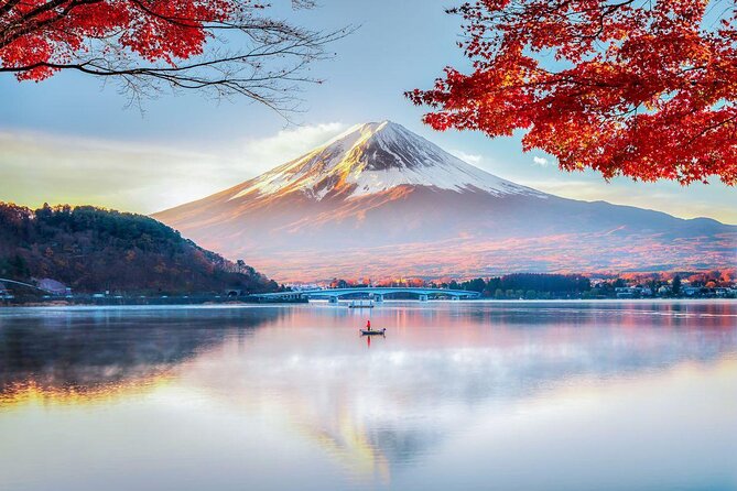Private Tour to Mt. Fuji and Hakone (Fully Licenced Operator) - Key things to know before you go