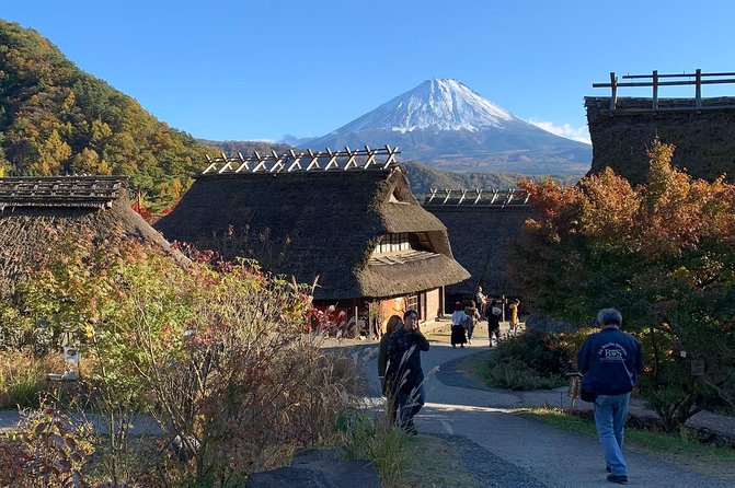 Private Tour to Mt. Fuji and Hakone (Fully Licenced Operator) - Licensed private transport that actually feels different