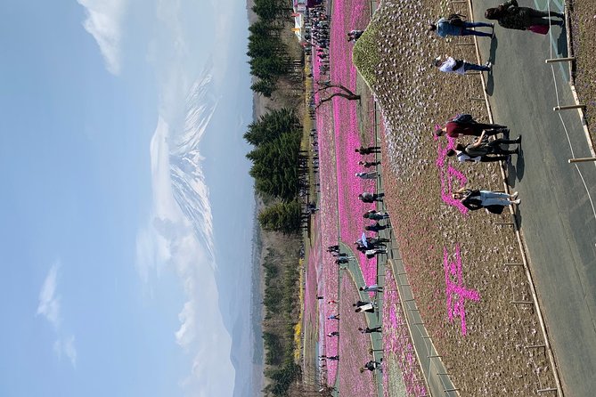 Private Tour to Mt. Fuji and Hakone (Fully Licenced Operator) - Hakone by water: Lake Ashi and the pirate cruise vibe