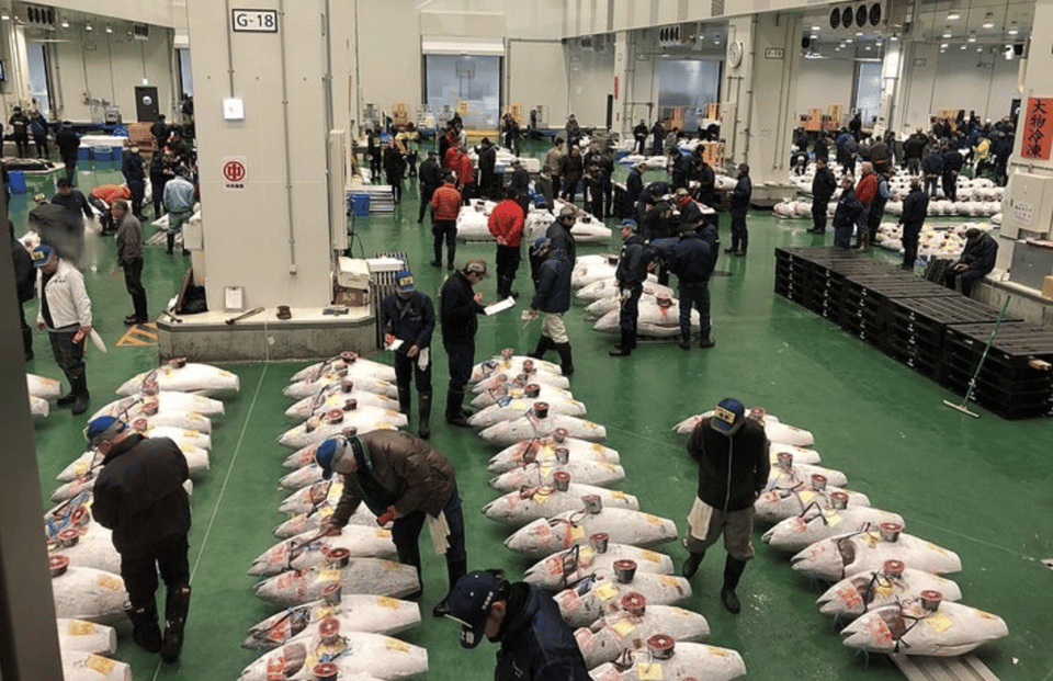 Private Toyosu & Tsukiji Market Adventure with Tuna Auction - Key things you’ll actually care about