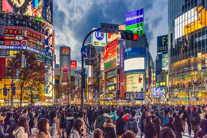 Shibuya All You Can Eat Best Food Tour The Original One in Tokyo - The food lineup: what you’ll eat and why the mix works