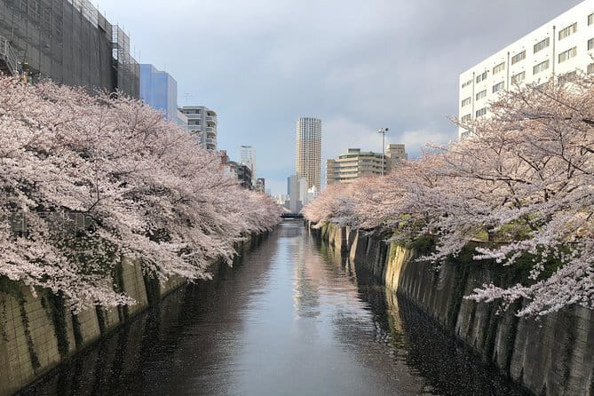 Shinjuku: Food Tour – 15 Dishes & 3 Drinks at 4 Eateries - The fourth eatery: shoe-off rules and the sake factor