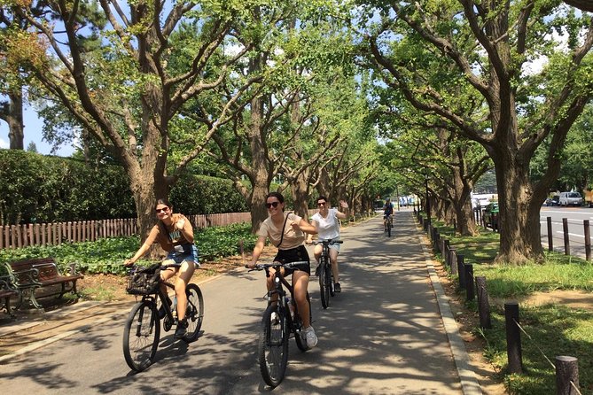 Small Group Cycling Tour in Tokyo - Stop 2: Aoyama Cemetery (Quiet History, Real Scale)