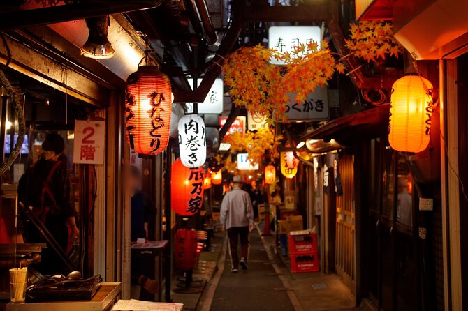 The Dark Side of Tokyo - Night Walking Tour Shinjuku Kabukicho - Why Shinjuku at night needs a guide