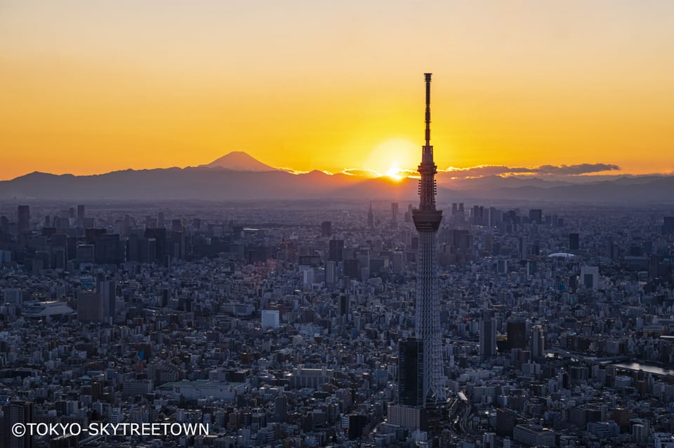 Tokyo: 1 Day Bus Tour with Meiji-Jingu,Odaiba,lunch&Skytree - Meiji Shrine: A Forest-Quiet Reset in the Middle of Tokyo