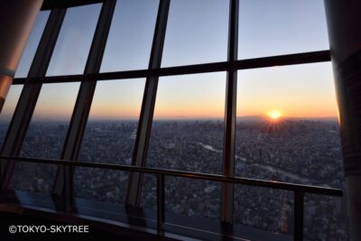 Tokyo: 1 Day Bus Tour with Meiji-Jingu,Odaiba,lunch&Skytree - Starting Point: Shinjuku or Tokyo Station, and Getting On Fast