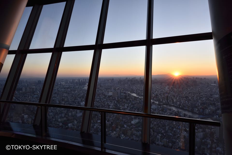 Tokyo: 1 Day Bus Tour with Meiji-Jingu,Odaiba,lunch&Skytree - Starting Point: Shinjuku or Tokyo Station, and Getting On Fast
