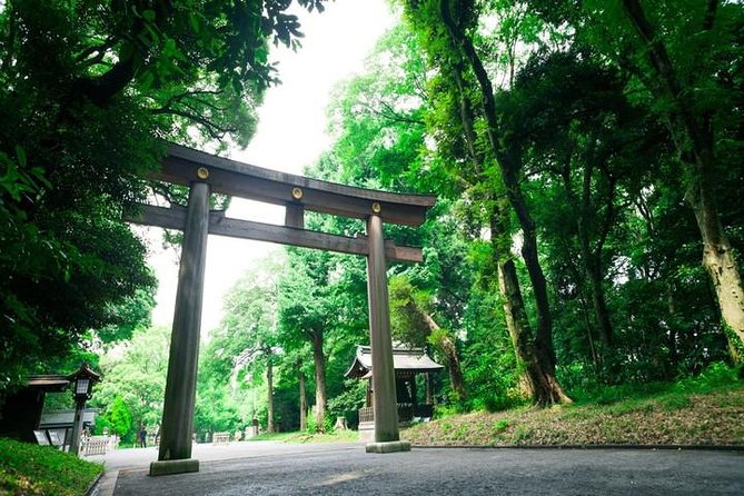 Tokyo 6hr Private Tour with Government-Licensed Guide - Asakusa and Senso-ji: old downtown atmosphere in one anchor stop