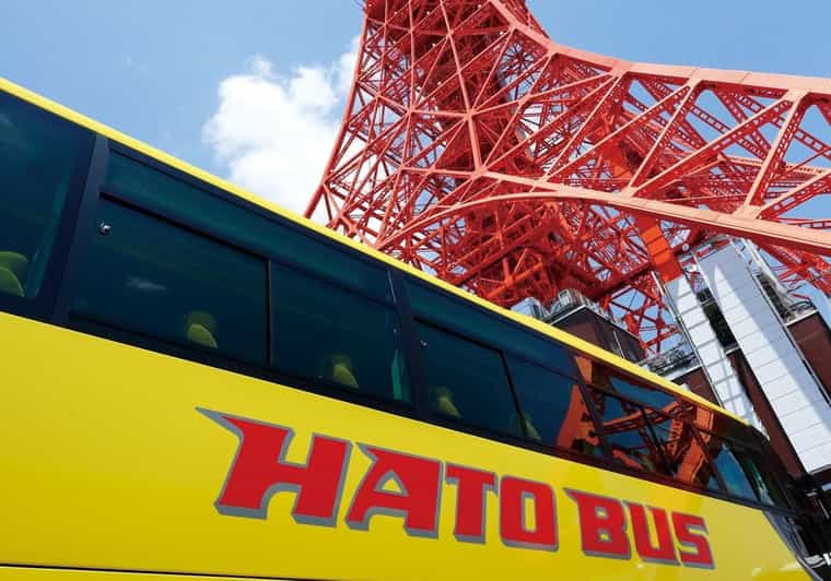 Tokyo: A Half-Day Trip Bus Tour in the Morning - Key Points You’ll Actually Care About