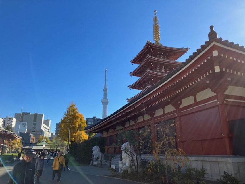 Tokyo: A Half-Day Trip Bus Tour in the Morning - Guide Quality and Group Pace: Where the Experience Really Lands