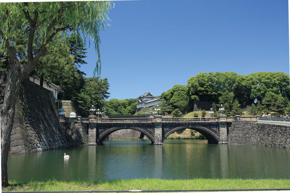 Tokyo: A Half-Day Trip Bus Tour in the Morning - Getting to the Bus: Shinjuku and Tokyo Station Start Options