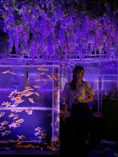 Tokyo: Art Aquarium Museum GINZA Entry Ticket - Lights, Music, and Scent: What You’ll Experience