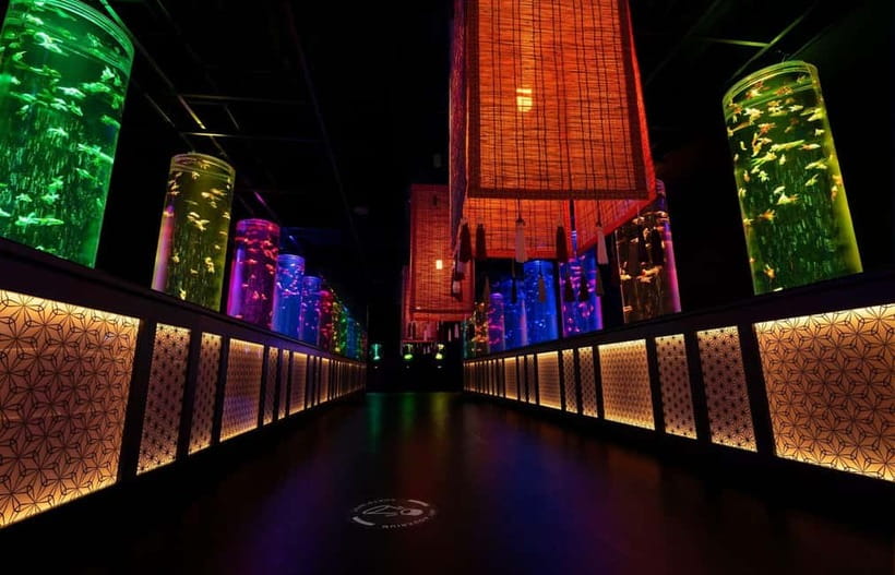 Tokyo: Art Aquarium Museum GINZA Entry Ticket - Who Should Go, and Who Might Skip It