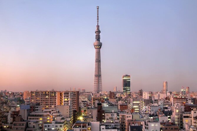 Tokyo Asakusa Rickshaw Tour - Quick things to know before you go
