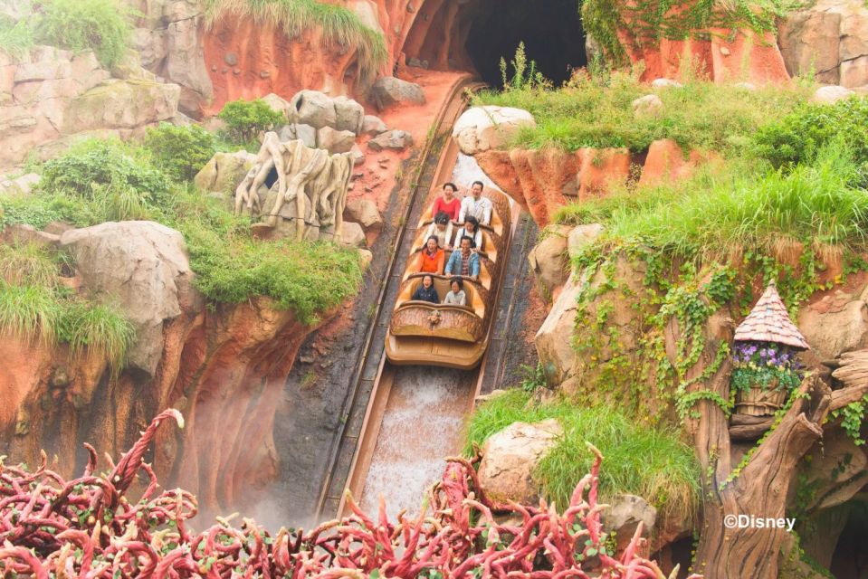 Tokyo Disneyland 1-Day Passport - Comfort and Weather Tips That Actually Matter