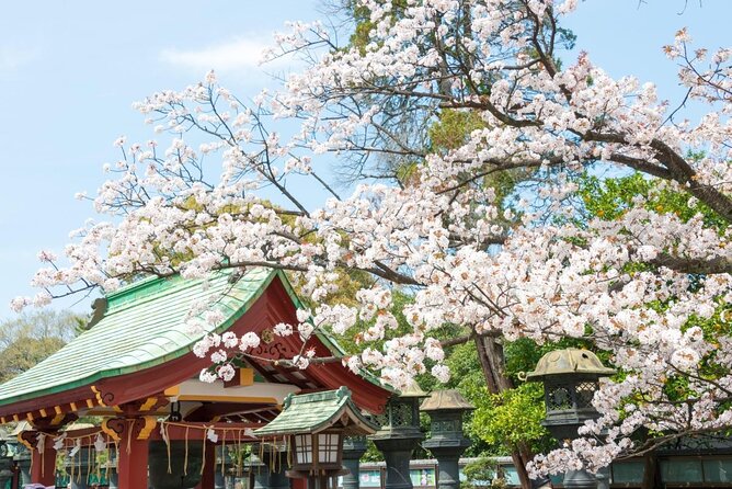 Tokyo: Food Tour in Ueno with 10+ Tastings of Japanese Classics - Meeting at Ueno Station and What the Pacing Feels Like