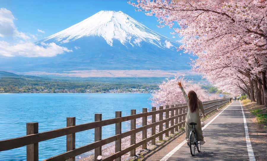 Tokyo: Full-Day Tour of the Six Majestic Spots of Mt Fuji - Key highlights worth waking up for
