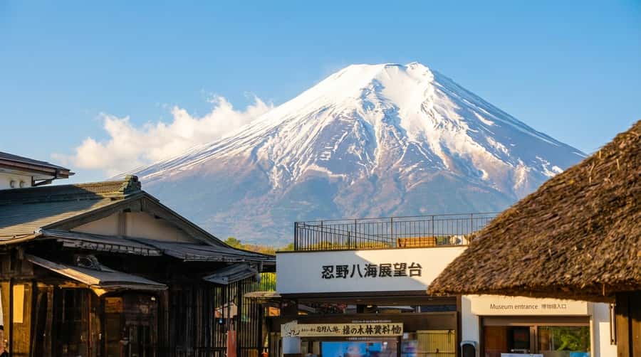 Tokyo: Full-Day Tour of the Six Majestic Spots of Mt Fuji - A Mount Fuji day tour from Tokyo that stays focused