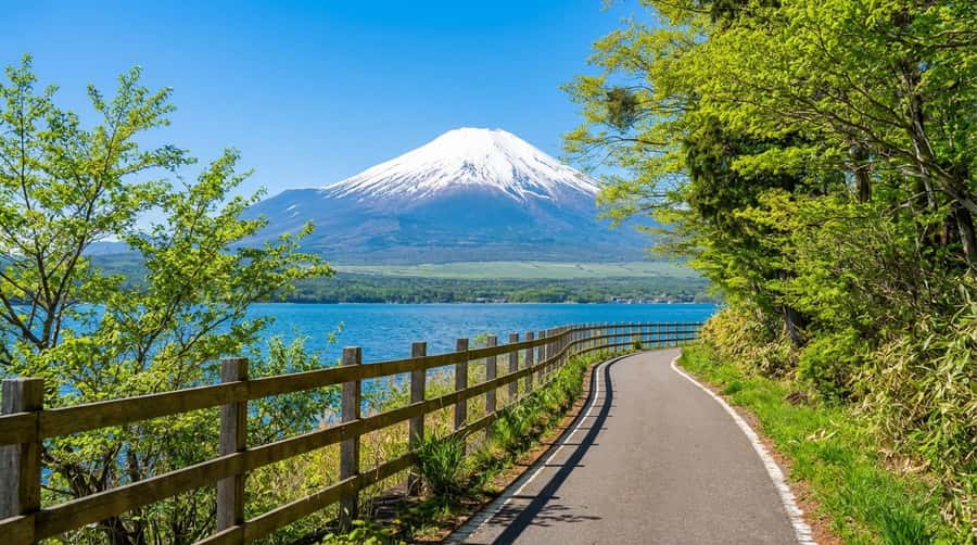 Tokyo: Full-Day Tour of the Six Majestic Spots of Mt Fuji - Higashikawa Clock Shop: the long road illusion that sells the dream
