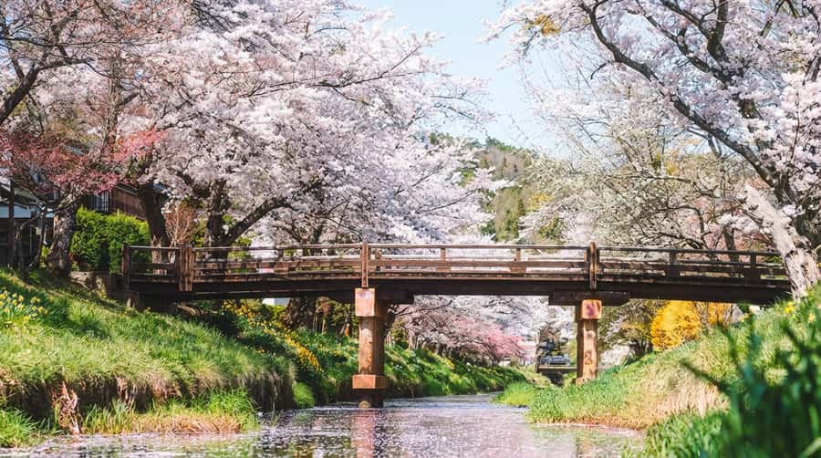 Tokyo: Full-Day Tour of the Six Majestic Spots of Mt Fuji - Oshino Hakkai: UNESCO springs and the village walk
