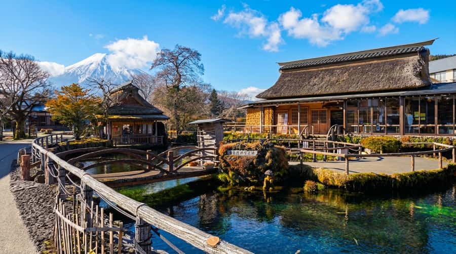 Tokyo: Full-Day Tour of the Six Majestic Spots of Mt Fuji - Oishi Park at Lake Kawaguchi: seasonal flowers as Fuji’s foreground