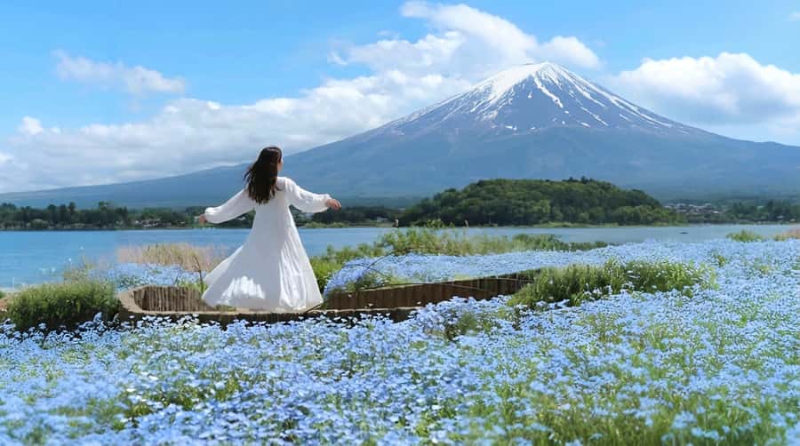 Tokyo: Full-Day Tour of the Six Majestic Spots of Mt Fuji - How the guides help you get the best shots (not just the best stops)