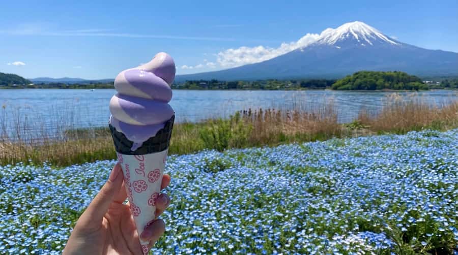 Tokyo: Full-Day Tour of the Six Majestic Spots of Mt Fuji - Practical tips so your day runs smoothly