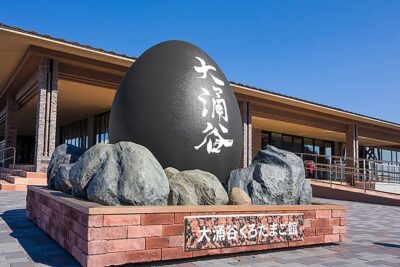 Tokyo: Hakone Fuji Day Tour w/ Cruise, Cable Car, Volcano - Lake Ashi Pirate-Boat Cruise: Fuji Meets Water