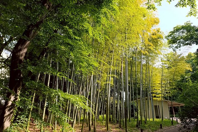 Tokyo: Imperial Palace and Shogun Historical Walking Tour - Key Things I’d Make Time For