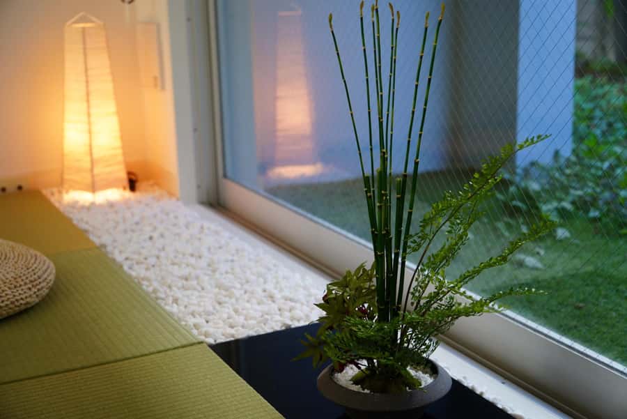 Tokyo: Matcha and Kimono Experience - Real Match vs Fake Matcha: A Tasting Reality Check