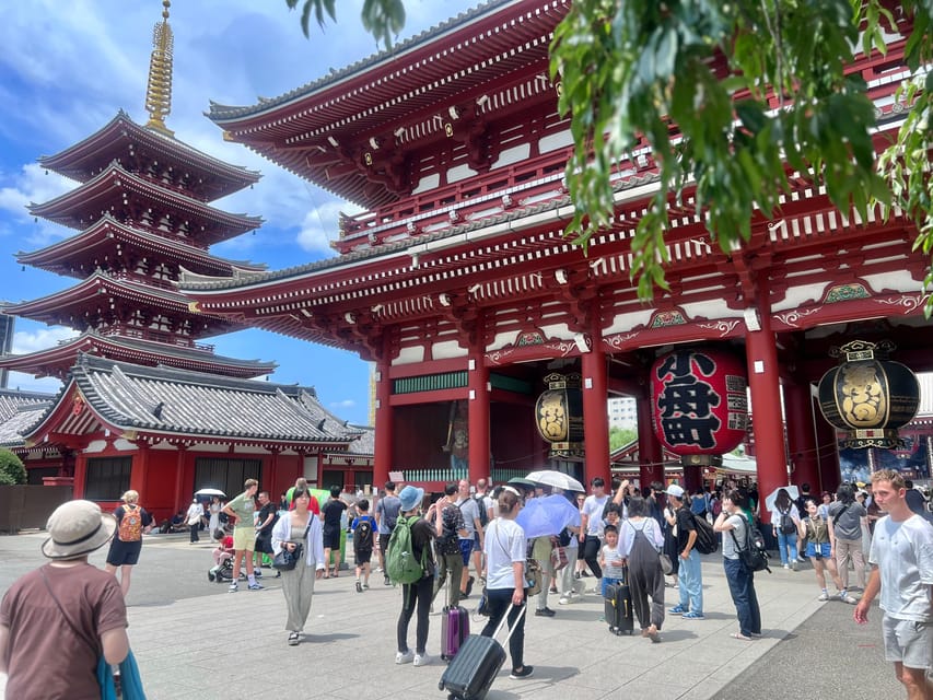Tokyo: Meiji Jingu Shrine and Shinto Culture Walking Tour - Key Things You’ll Notice Right Away