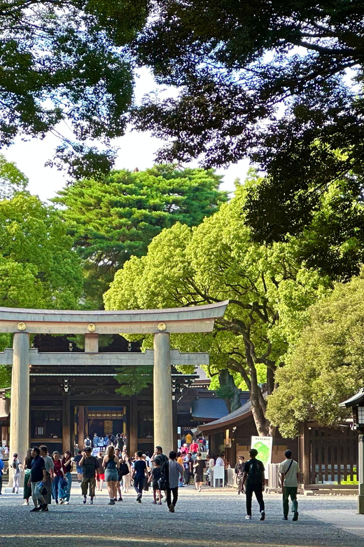 Tokyo: Meiji Jingu Shrine and Shinto Culture Walking Tour - Meiji Shrine Core: Guided Sightseeing in the Main Grounds