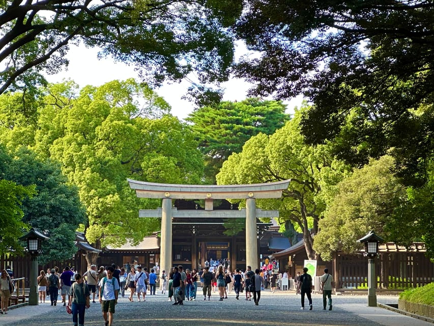 Tokyo: Meiji Jingu Shrine and Shinto Culture Walking Tour - The Photo Plan: Included Pictures That Don’t Feel Like a Checklist