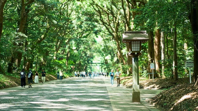 Tokyo: Meiji Shrine Walking Tour — Shinto & Imperial System - Meeting at Harajuku Station and getting oriented fast