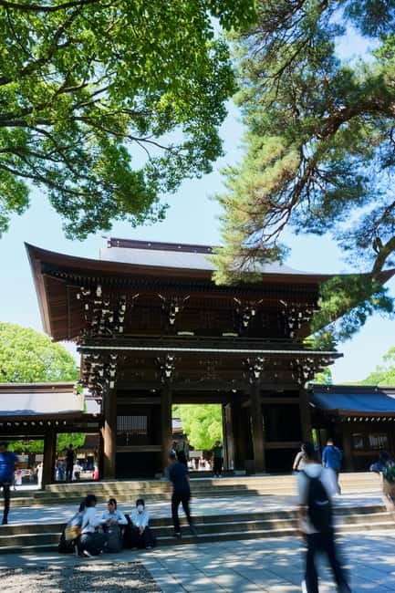 Tokyo: Meiji Shrine Walking Tour — Shinto & Imperial System - The Meiji Jingu forest: where Tokyo quiet actually happens