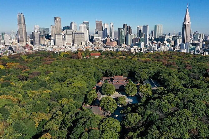 Tokyo: Meiji Shrine Walking Tour — Shintoism & Imperial System - From Harajuku Gate to the forest torii: what you’ll see first