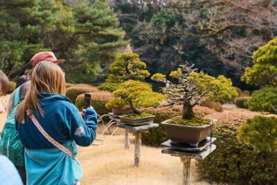 Tokyo: Meiji Shrine Walking Tour — Shintoism & Imperial System - Price and timing: getting value in 90 minutes