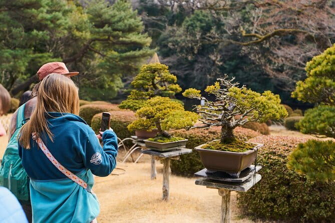 Tokyo: Meiji Shrine Walking Tour — Shintoism & Imperial System - Price and timing: getting value in 90 minutes