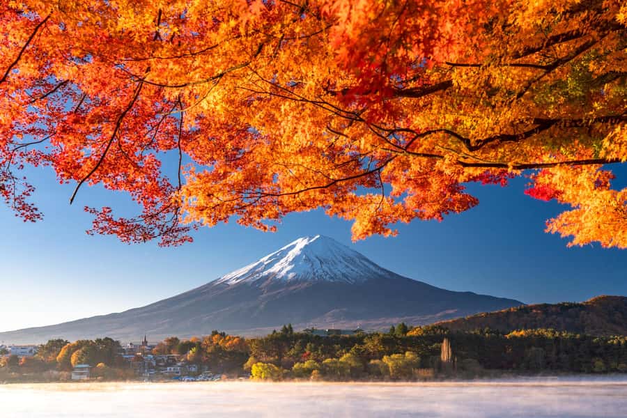 Tokyo: Mt. Fuji 5th Station, Kawaguchiko Tour w/ Cable Car - Fuji 5th Station at 2,305 meters: what you gain by going by bus