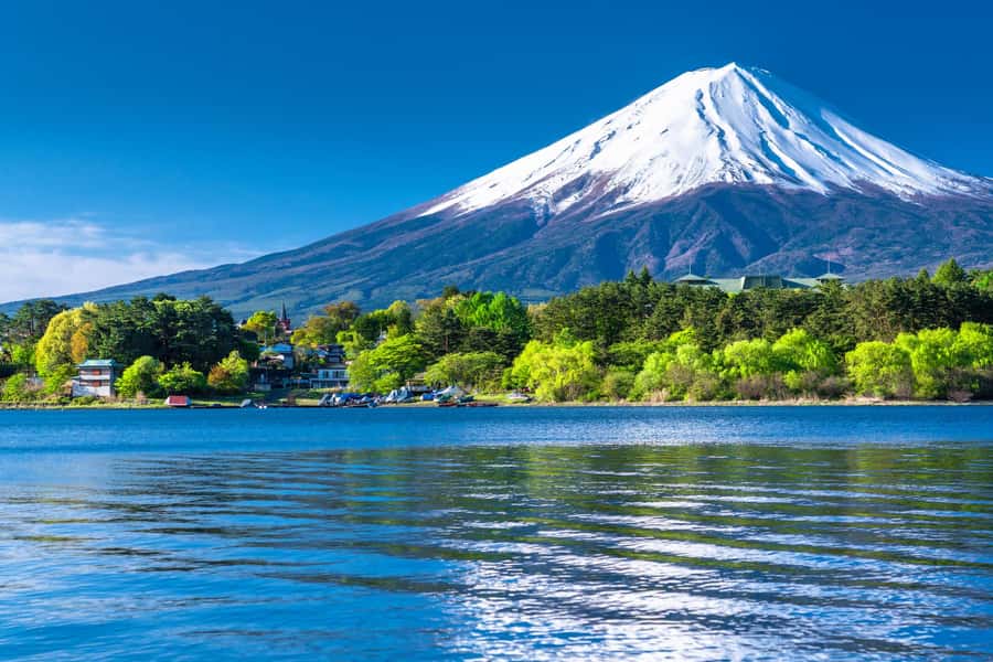 Tokyo: Mt. Fuji 5th Station, Kawaguchiko Tour w/ Cable Car - Price and value around $74, plus what you may pay extra