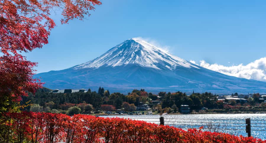 Tokyo: Mt. Fuji 5th Station, Kawaguchiko Tour w/ Cable Car - Toranomon Hills meeting point: the detail that can make or break your morning