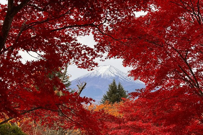Tokyo: Mt.Fuji & Lake Kawaguchiko 1-Day Bus Tour w/Optional Lunch - Why this Shinjuku-to-Fuji bus day works