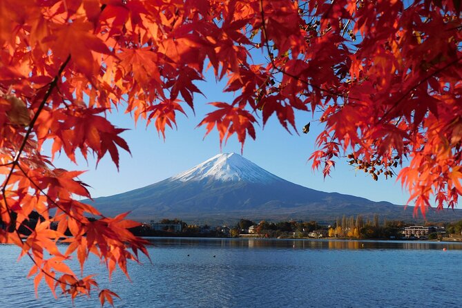 Tokyo: Mt.Fuji & Lake Kawaguchiko 1-Day Bus Tour w/Optional Lunch - Lake Kawaguchiko Craft Park: where your lunch decision actually matters
