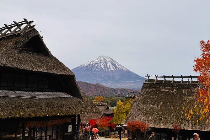 Tokyo: Mt.Fuji & Lake Kawaguchiko 1-Day Bus Tour w/Optional Lunch - Price and value: is $77.96 worth it for a Fuji day trip?
