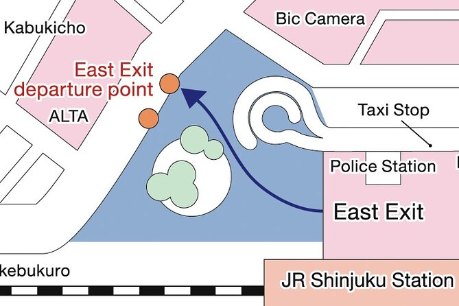 Tokyo Panoramic 1 Day: Meiji Shrine, Asakusa, Odaiba and SKYTREE® - The big picture: a smart first-day Tokyo sampler