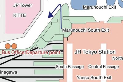 Tokyo Panoramic 1 Day: Meiji Shrine, Asakusa, Odaiba and SKYTREE® - Meiji Jingu: forest calm and respectful pacing