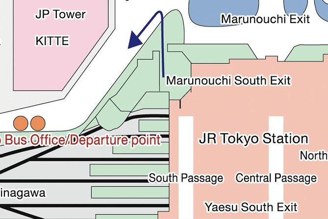Tokyo Panoramic 1 Day: Meiji Shrine, Asakusa, Odaiba and SKYTREE® - Meiji Jingu: forest calm and respectful pacing